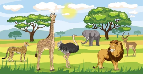 Foto auf Acrylglas Savanna landscape with lion, giraffe, ostrich, gazelle, cheetah and elephant. Vector cartoon landscapes of the African savanna, summer nature park or tropical safari with wild animals, green trees and © Sg.Lapchi