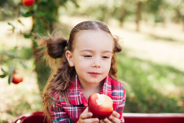 Girl with Apple in the Apple Orchard. Beautiful Girl Eating Organic Apple in the Orchard. Harvest...