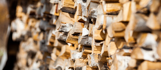 Birch firewood stacked in a woodpile