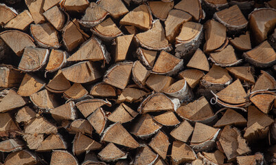 Birch firewood stacked in a woodpile