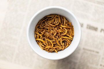Fried salty worms. Roasted mealworms in bowl.