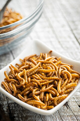 Fried salty worms. Roasted mealworms in bowl.