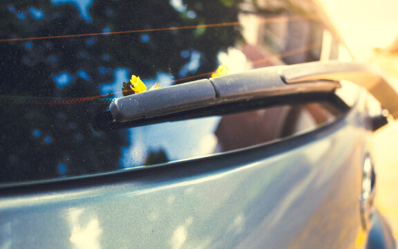 parabrisas de carro en d&iacute;a soleado