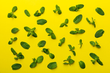Fresh green mint leaves on white background, Mint leaves pattern Top view with copy space
