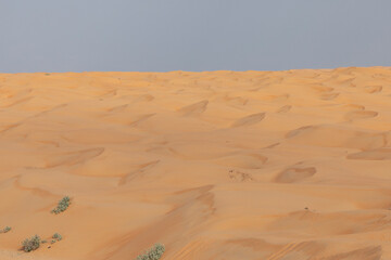 sand dunes in the desert in Oman