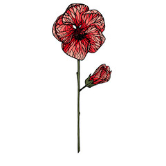 Vector ink red flower - 498620960