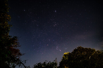Fototapeta premium The universe with Orion