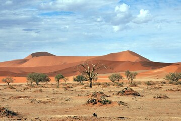 Sossusvlei
