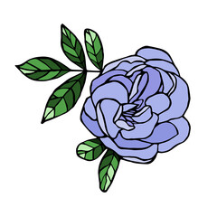 Vector ink blooming violet rose - 498623543