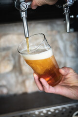 mug of beer at a bar