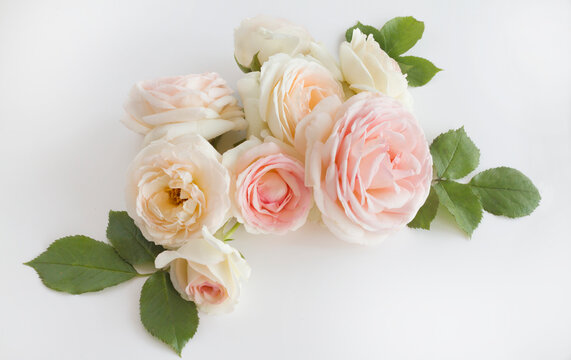 Bouquet of vintage romantic roses in pastel watercolor tones on a gray and white background.