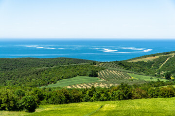 landscape with field and blue sky