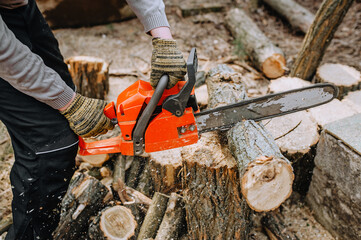 A lumberjack, a strong man, a professional sawing logs holding a red chainsaw in his hand, trees at a workplace in the forest.