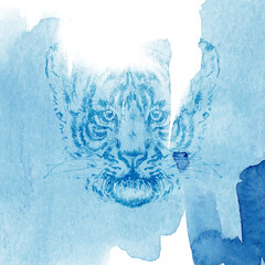 Poster. A combination of watercolor spots, splashes and tiger head images for the design of postcards, posters and other printed products. Blue and light blue color. Watercolor and line graphics.