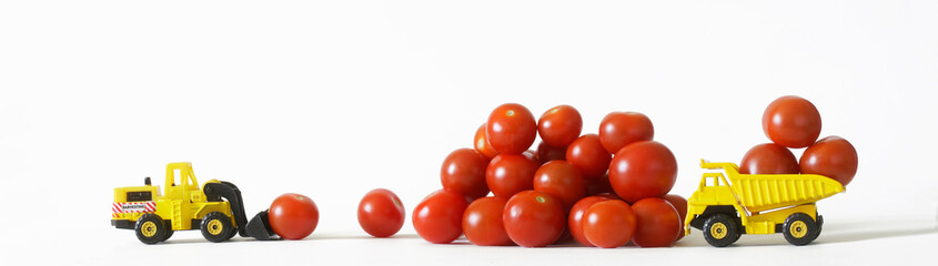 Toy forklift and dump truck collect and load cherry tomatoes. White background. The concept of autumn agricultural work, harvesting and delivery of the crop. Toy world. Web banner