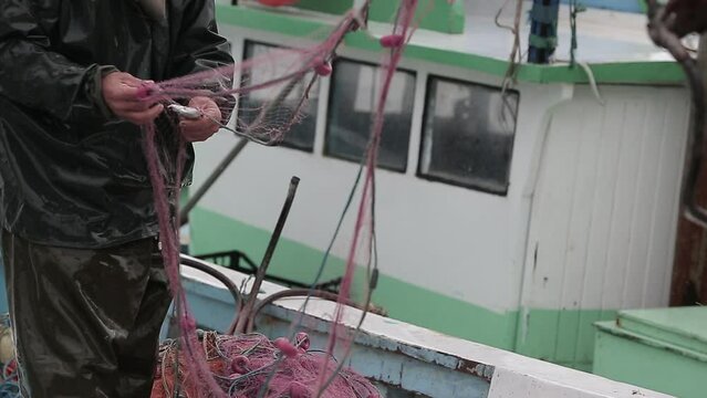 Fishermen at work, pulling the nets stock photo