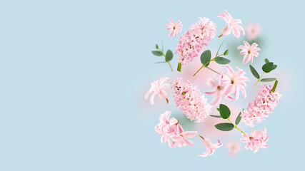 Rose hyacinth flowers and green leaves flying in the air on spun sugar background. Levitation concept. Floating petals on a light blue. Postcard with wedding, women's day, mother's day. Copy spase