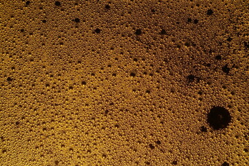 Beer foam texture. Bubbles irradiated with light. Roughened surface.