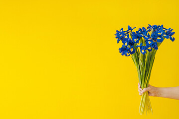 Blue flower in beautiful style on yellow colorful background. Romantic poster. Abstract colorful background. Ukraine war concept.