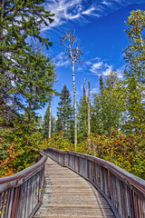 The curved board walk into the jungle - Ouimet Canyon, Thunder Bay, ON, Canada