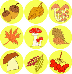 Set autumn stickers for kids with mushrooms, colorful fall leaves, red berries and brown acorns.