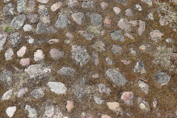 Lehmboden mit Steinen und Moos.