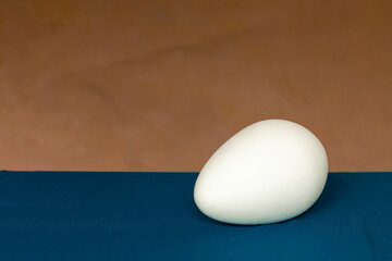 Egg on a uniform background of two colors
