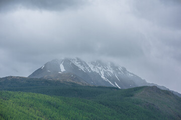 Fototapeta na wymiar Simple atmospheric rainy landscape with sunlit green forest on mountainside and snowy mountain top among gray low clouds. Bleak overcast scenery with snow mountain peak under gloomy gray cloudy sky.