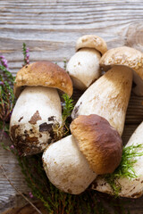 Fresh wild porcini mushrooms and heather flowers on a wooden old board, top view, copy space