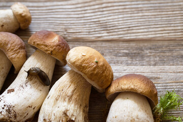 Fresh forest porcini mushrooms and creeping cute slug on a wooden old board, top view, copy space