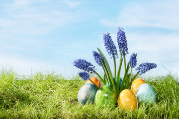 Hyacinth flower with easter eggs in spring grass with sky