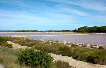 panorama of the maritime salt marshes in the tourist environment of the island of formentera in summer