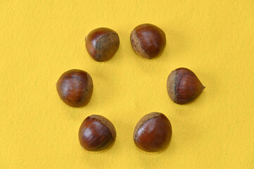黄色い背景上に並べた秋の味覚の栗