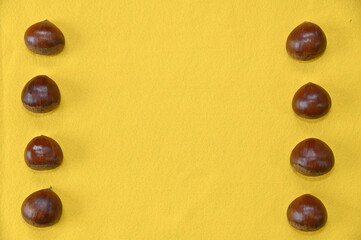 黄色い背景上に並べた秋の味覚の栗