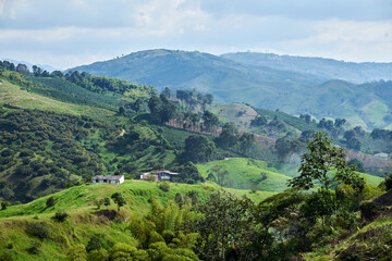 Fototapeta na wymiar Landscape from a high mountain against a beautiful backdrop of a coffee and bamboo farm with its country house. Colombian Coffee Axis