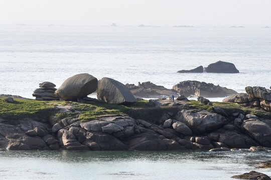 &icirc;le aux lapins &agrave; Tr&eacute;gastel en Bretagne - France