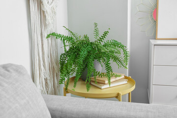 Beautiful houseplant and books on table near white wall
