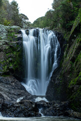 waterfall in the forest
