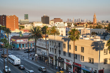 Hollywood Views