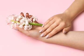 Female hands with beautiful hyacinth flowers on pink background