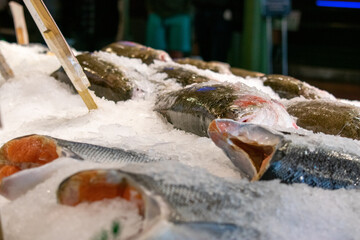 dead frozen fish on ice