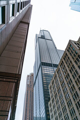 Obraz premium skyscrapers in downtown Chicago on an overcast day