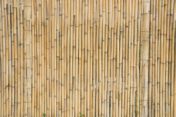 Bamboo plank fence texture for naturel background