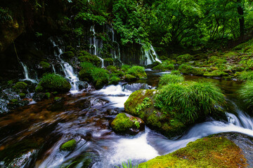 Fototapeta premium 元滝伏流水