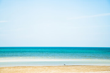 Landscape beach background in Thailand.light blue sky, sea wave and sand beach in pastel style. Concept of summer vacation and holiday tourism.