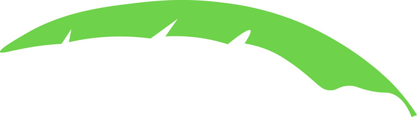 Tropical Leaves individual florals elements