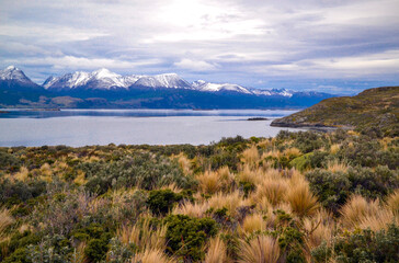 Beagle channel in Patagonia Argentina in Ushuaia city at the Land of Fire island with snow mountains and Patagonian papa with corona native plant. High quality photo