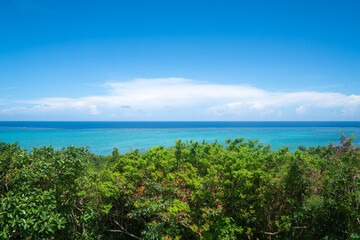 展望台からの眺め / 沖縄件 石垣島 玉取崎展望台
