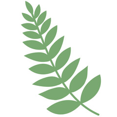 Fototapeta premium Tropical Leaves individual florals elements