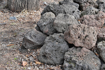 A pile of gray porous volcanic stones on an autumn forest lawn